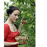   Woman, Cherries, Harvest