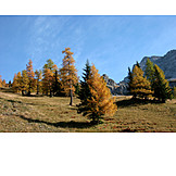   Landschaft, Herbstfarben