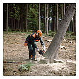   Forester, Tree felling