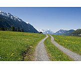   Landschaft, Feldweg, Zugspitze