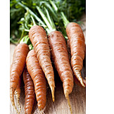   Vegetable, Carrot, Carrots