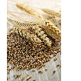   Grain, Wheat, Grain