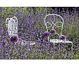   Gartenstuhl, Lavendel