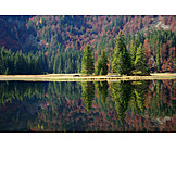   Lake, Obersee, Lunz lake