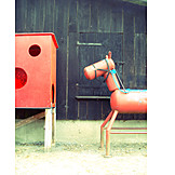   Playground, Playground, Ranch, Pony farm, Training horse