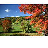   Autumn Landscape, Autumn Colors