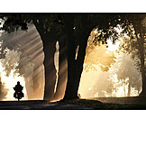   Sunlight, Motorcycle, Road, Motorcycle tour, Fog