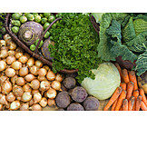   Vegetable, Basket, Vegetable harvest