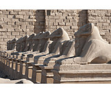   Archaeology, Temple, Karnak temple, Aries avenue