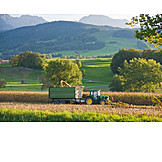   Agriculture, Harvest, Tractor, Harvest, Berchtesgadener land