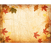   Backgrounds, Autumn, Autumn Leaves