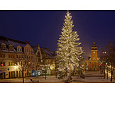   Christmas Tree, Gotha, Christmas