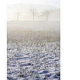   Winterlandschaft, Nebel
