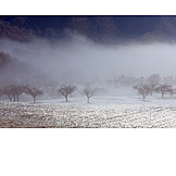   Acker, Winterlandschaft, Nebel