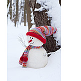   Winter, Snowman, Winter Decoration