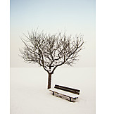   Tree, Winter, Silence, Bench