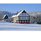  Winter, Timbered