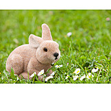   Grass, Easter bunny