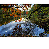   Lake, Autumn, Water Reflection
