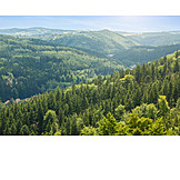   Czech republic, Central mountains, Bohemian forest