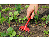   Gartenarbeit, Rechen, Bodenbearbeitung