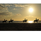  Pferde, Sardinien, Reiterurlaub