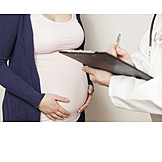   Untersuchung, Schwangerschaft, Frauenarzt