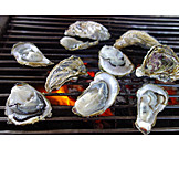   Grill, Oysters, Clam