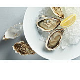   Oyster, Clam