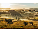   Hill, Mist, Italy, Tuscany