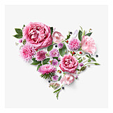   Heart, Valentine's day, Flowers