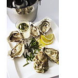   Champagne, Delicacy, Oysters