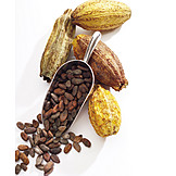   Kakao, Kakaofrucht, Kakaobohne
