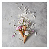   Petals, Summer, Ice cream cone