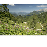   Wanderweg, Wandergebiet, Nationalpark berchtesgaden