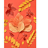   Herbstblatt, Verschiedene