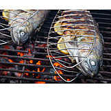   Broiling, Grill, Trout