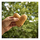   Herz, Kartoffel