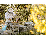   Beehive, Beekeeper, Beekeeping, Honey production