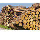   Wood pile, Tree trunk, Timber industry